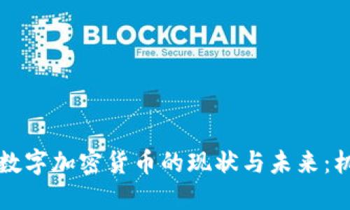 国际落地数字加密货币的现状与未来：机遇与挑战