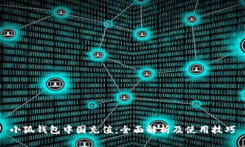 小狐钱包中国充值：全面解析及使用技巧