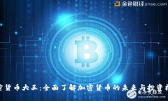 加密货币大王：全面了解