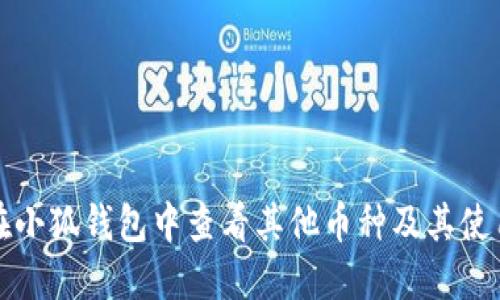 如何在小狐钱包中查看其他币种及其使用指南
