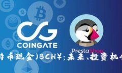 深入探讨比特币现金（B