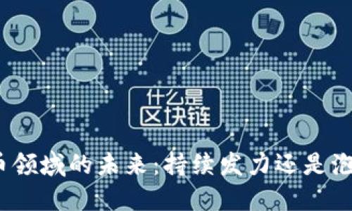 加密货币领域的未来：持续发力还是泡沫破裂？