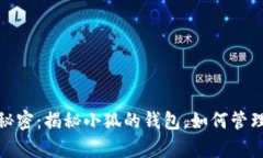 小狐的财富秘密：揭秘小