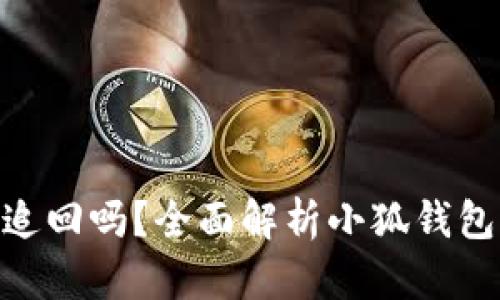 : 小狐钱包被盗能追回吗？全面解析小狐钱包的安全及救助措施