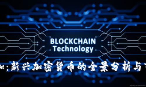 比南斯加：新兴加密货币的全景分析与市场前景