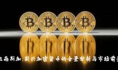 比南斯加：新兴加密货币