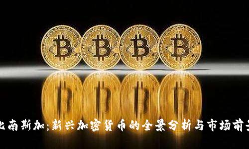 比南斯加：新兴加密货币的全景分析与市场前景