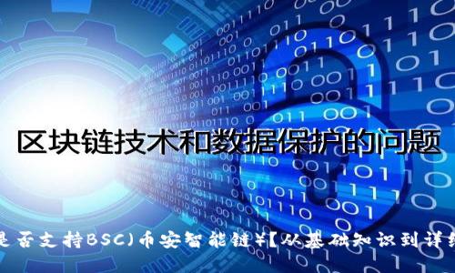 小狐钱包是否支持BSC（币安智能链）？从基础知识到详细使用指南