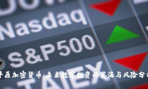 平原加密货币：未来数字投资的蓝海与风险分析