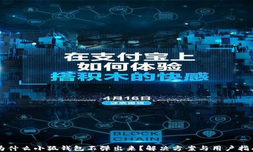 
为什么小狐钱包不弹出来？解决方案与用户指南