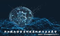 新加坡加密货币的发展现