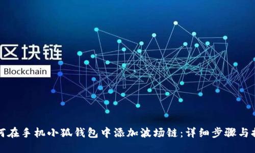 如何在手机小狐钱包中添加波场链：详细步骤与提示