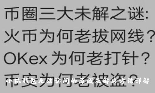 小狐钱包无法访问的原因及解决方法详解