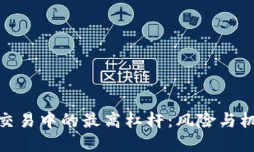 加密货币交易中的最高杠杆：风险与机会的权衡