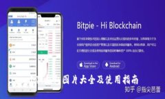 小狐钱包图片大全及使用
