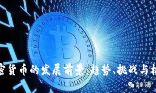 加密货币的发展前景：趋势、挑战与机遇
