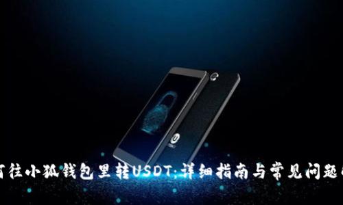 如何往小狐钱包里转USDT：详细指南与常见问题解答