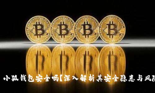: 小狐钱包安全吗？深入解析其安全隐患与风险