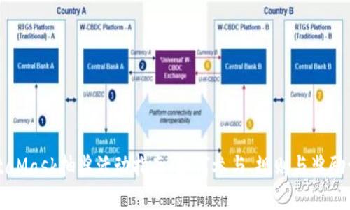 MetaMask抽奖活动指南：如何参与、规则与奖励详解