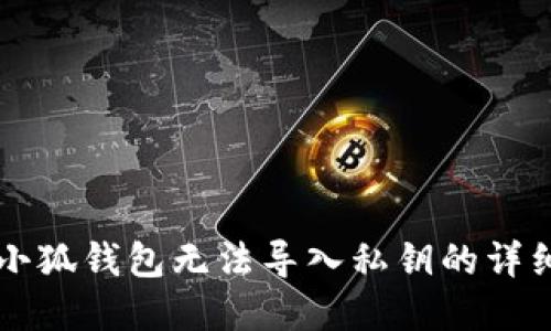 解决小狐钱包无法导入私钥的详细指南