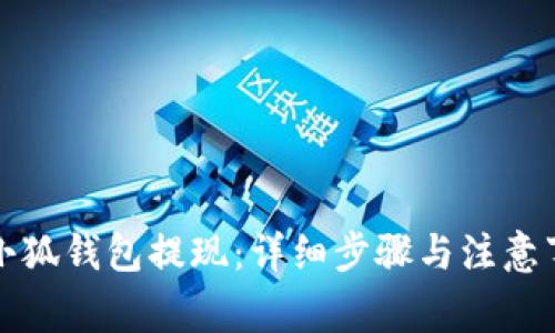如何从小狐钱包提现：详细步骤与注意事项解析