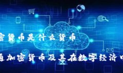 普通加密货币是什么货币