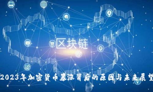 2023年加密货币暴涨背后的原因与未来展望