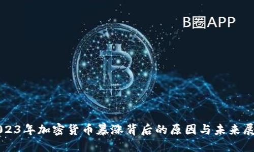 2023年加密货币暴涨背后的原因与未来展望