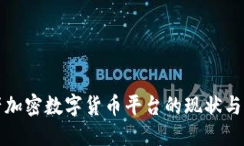 中国国产加密数字货币平台的现状与发展趋势