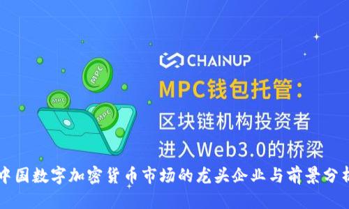 中国数字加密货币市场的龙头企业与前景分析