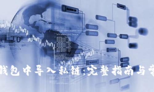 如何在小狐钱包中导入私链：完整指南与常见问题解答