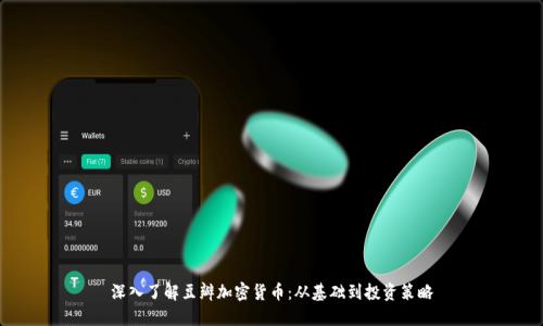 深入了解豆瓣加密货币：从基础到投资策略