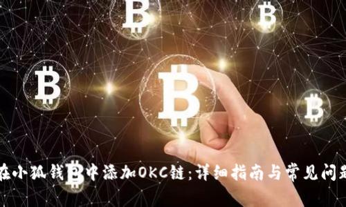 如何在小狐钱包中添加OKC链：详细指南与常见问题解答