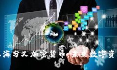 全面解析上海分叉加密货