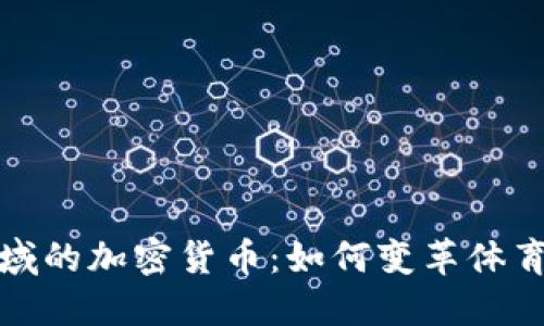 进入足球领域的加密货币：如何变革体育产业的未来