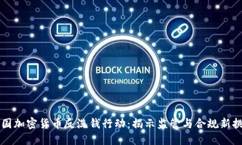 美国加密货币反洗钱行动：揭示监管与合规新挑战