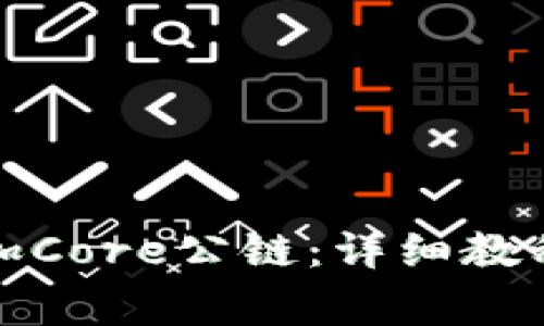 小狐钱包如何添加Core公链：详细教程与常见问题解答