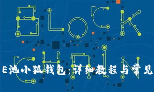 如何设置E池小狐钱包：详细教程与常见问题解答