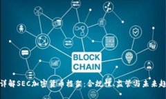 : 详解SEC加密货币框架：合