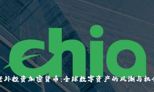 老外投资加密货币：全球数字资产的风潮与机会