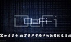 《揭秘山寨加密货币：数