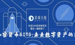 探索加密货币BITS：未来数