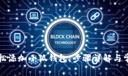 电脑如何轻松添加小狐钱包：步骤详解与常见问题解答