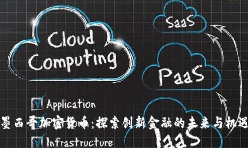 墨西哥加密货币：探索创新金融的未来与机遇