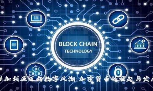 保加利亚迈向数字风潮：加密货币的崛起与发展