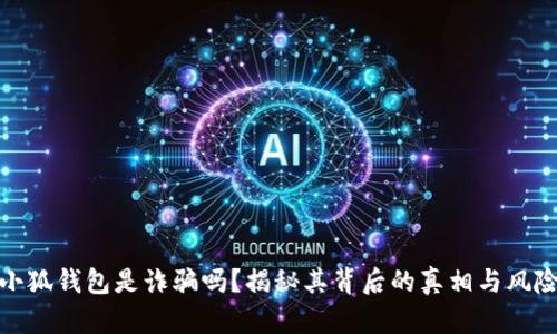 小狐钱包是诈骗吗？揭秘其背后的真相与风险