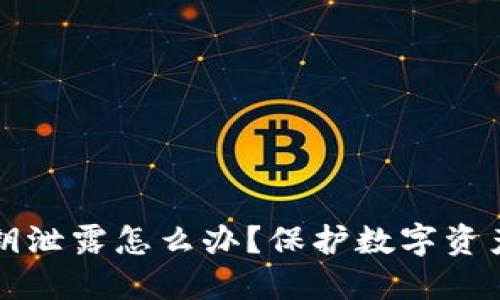 小狐钱包密钥泄露怎么办？保护数字资产的实用指南