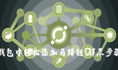 如何在小狐钱包中轻松添加马蹄链：详尽步骤与注意事项