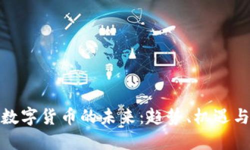 加密数字货币的未来：趋势、机遇与挑战