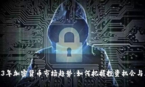 2023年加密货币市场趋势：如何把握投资机会与风险